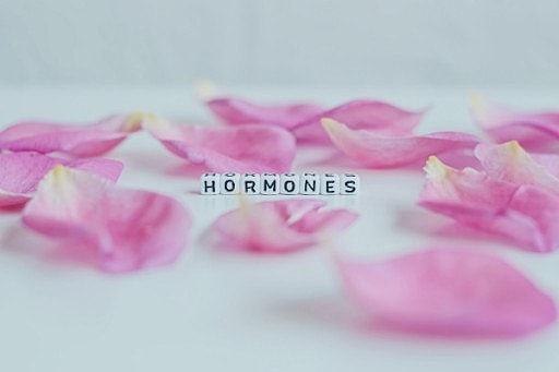 Exploring the Health Benefits of Hormone Therapy in Perimenopause and Menopause